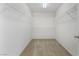 Walk-in closet with shelving and carpet at 3517 Colby Creek Ave, North Las Vegas, NV 89081