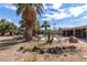 Backyard featuring mature trees, a partially visible pool, and some unkempt areas in need of landscaping at 4678 Saddle Pl, Las Vegas, NV 89119