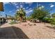 Backyard featuring desert landscaping and large palm trees at 4678 Saddle Pl, Las Vegas, NV 89119