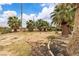 Large partially xeriscaped backyard with many palm trees at 4678 Saddle Pl, Las Vegas, NV 89119