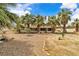 Charming home featuring a gravel front yard with mature palm trees and beautiful landscaping at 4678 Saddle Pl, Las Vegas, NV 89119