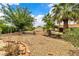 Expansive gravel front yard featuring mature trees and desert landscaping at 4678 Saddle Pl, Las Vegas, NV 89119