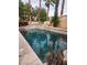 Stunning backyard pool with tiered stone accents and vibrant desert flora in a private setting at 6148 Whitelion Walk St, Las Vegas, NV 89148