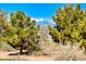 Backyard view showcasing mature green trees and stunning snow-capped mountain views in the distance at 2734 Grand Forks Rd, Henderson, NV 89052