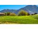 Expansive lush green space with mature trees and stunning views of the mountains in the distance at 2734 Grand Forks Rd, Henderson, NV 89052