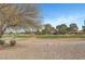 Scenic view of the golf course with lush green grass and mature trees, adjacent to residential properties at 2920 Crown Ridge Dr, Las Vegas, NV 89134