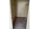 Walk-in closet with carpet flooring and built-in wire shelving at 5710 E Tropicana Ave # 2033, Las Vegas, NV 89122