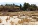 Wide shot of the property, showing the sandy terrain, sparse vegetation and outbuildings at 861 Mcmurray Dr, Pahrump, NV 89060