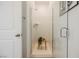 Bathroom featuring modern glass shower and decorative wall art with a small plant on a stool at 10415 Andele Ave, Las Vegas, NV 89166