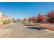 Gated community entrance with manicured landscaping, mature trees, and well-maintained brick-paved road at 10415 Andele Ave, Las Vegas, NV 89166