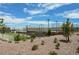 Community tennis courts surrounded by lush greenery and clear blue skies, perfect for active residents at 10415 Andele Ave, Las Vegas, NV 89166