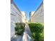 Walkway view between neutral colored townhome buildings with green shrubbery on each side at 3672 Angela Robin St # 202, Las Vegas, NV 89129