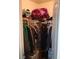 A tidy walk-in closet featuring hanging clothes and a storage basket for organized living at , Las Vegas, NV 89122