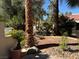 Backyard view with mature trees, rock accents, and lush landscaping at 2796 Cape Hope Way, Las Vegas, NV 89121