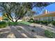 Green artificial turf backyard with desert landscaping and mature shade trees at 4936 Mountain Foliage Dr, Las Vegas, NV 89148