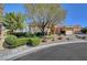 Landscaped front yard with a mature shade tree, decorative planters, and manicured shrubs at 4936 Mountain Foliage Dr, Las Vegas, NV 89148