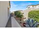 Landscaped side yard with desert plants and rock feature at 640 Hayborn Meadows St, Las Vegas, NV 89138
