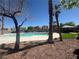 Community pool featuring palm trees, a pergola, and artificial turf at 6546 Churnet Valley Ave, Las Vegas, NV 89139