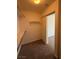 Walk-in closet featuring neutral walls, carpeted floor, and installed shelving at 6546 Churnet Valley Ave, Las Vegas, NV 89139