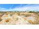 Scenic view of the desert landscape at 9010 W Lone Mountain Rd, Las Vegas, NV 89129