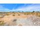View of desert landscape with native fauna at 9010 W Lone Mountain Rd, Las Vegas, NV 89129