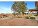 Attractive yard area with a stone base, trees, and tile-roofed houses in the background at 3020 Ripon Dr, Las Vegas, NV 89134