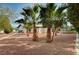 Desert landscaping defines this backyard with palm trees and minimal foliage at 167 Ebb Tide Cir, Las Vegas, NV 89123