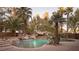 Gorgeous pool with stone features, palm trees, and an umbrella providing shade, creating a serene outdoor oasis at 9904 Moonridge Ct, Las Vegas, NV 89134