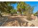 Large backyard with mature trees and low-maintenance gravel landscaping at 2040 Tucuman Ave, Pahrump, NV 89048