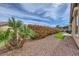 Backyard with gravel landscaping, palm trees, and a tall privacy hedge at 2116 Burtonsville Dr, Henderson, NV 89044