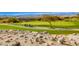 Picturesque golf course view with lush green fairways and golf carts in the distance at 2116 Burtonsville Dr, Henderson, NV 89044