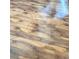 A close up of the appealing wood-grain laminate flooring at 2569 Malabar Ave, Las Vegas, NV 89121