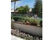 Landscaped yard with a pool at 2569 Malabar Ave, Las Vegas, NV 89121