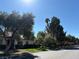 Neighborhood street view of this lushly landscaped community at 2569 Malabar Ave, Las Vegas, NV 89121