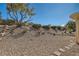 Backyard featuring rock landscaping, mature trees, and a view of the surrounding neighborhood at 3017 Walnut Park Ct, Henderson, NV 89052