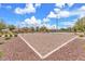 Sand volleyball court area with net in community, surrounded by trees and shrubs at 309 Gemstone Hill Ave, North Las Vegas, NV 89031