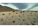 Desert landscape featuring sparse vegetation and distant mountains under a dramatic sky at 4243 Sago Lily St, Las Vegas, NV 89129