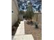 Landscaped side yard with rock and desert foliage at 8641 Surtidor Dr, Las Vegas, NV 89117