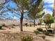 A desert landscaped backyard enclosed by a block wall, complemented by mountain views at 11031 Mission Lakes Ave, Las Vegas, NV 89134