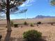 Picturesque backyard featuring low-maintenance desert landscaping, a block wall, and mountain views at 11031 Mission Lakes Ave, Las Vegas, NV 89134