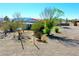 Picturesque backyard with mature trees and shrubs offering privacy and shade at 2801 Peggy Ave, Pahrump, NV 89048
