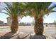 Yard with two palm trees at 2801 Peggy Ave, Pahrump, NV 89048