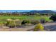 Scenic view of the community golf course with manicured greens and lush desert landscaping at 5327 Progresso St, Las Vegas, NV 89135