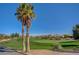 Beautiful golf course with tall palm trees and clear blue sky at 5327 Progresso St, Las Vegas, NV 89135