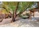 Private backyard featuring mature landscaping, including a large shade tree and a gazebo at 8851 Quintane Ln, Las Vegas, NV 89123