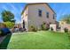 Landscaped backyard offering artificial grass, a patio, and mature plantings at 8853 Autumn Teal Ave, Las Vegas, NV 89178