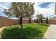 Serene backyard boasts a lush lawn, mature trees, and privacy brick wall at 4429 S Glory Vine Ln, Pahrump, NV 89061