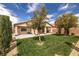 Backyard featuring lush green grass, desert landscaping, and a covered patio perfect for entertaining at 4429 S Glory Vine Ln, Pahrump, NV 89061