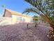 Large backyard featuring desert landscaping and a mature palm tree at 5829 Aqua Verde St, North Las Vegas, NV 89031