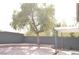 Backyard with brick patio, mature shade tree, and covered sitting area at 8101 Spur Ct, Las Vegas, NV 89145